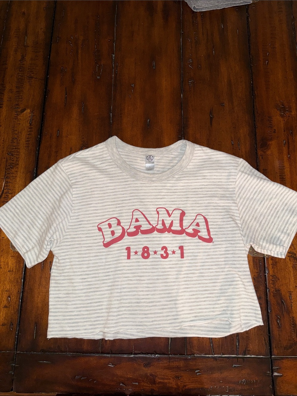Alternative Striped Crop Tee in White and Light Gray